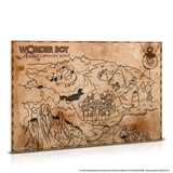 WONDER BOY: ASHA IN MONSTER WORLD COLLECTOR'S EDITION (PS4) R2