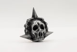 Assassin's Creed Black Flag Resynced Collector's Edition (PS5) R2 - PRE ORDER