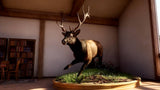 Way of the Hunter 2 (PS5) R1