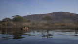 Way of the Hunter 2 (PS5) R1