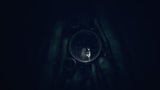 REANIMAL: Limited Collector's Edition (PS5) R1