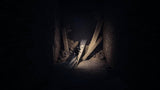 REANIMAL (PS5) R1