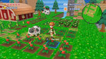 Harvest Moon: The Lost Valley & Skytree Village (NS) R2