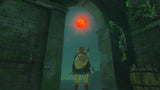 The Legend of Zelda: Tears of the Kingdom Collector’s Edition (NS) R1