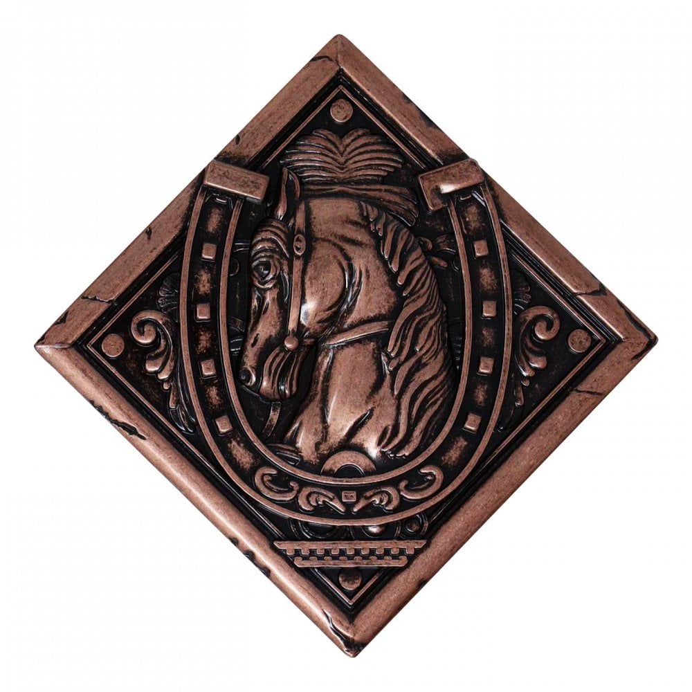 Brass Medallion (Resident Evil Village)